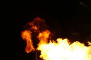 img_1217.jpg
